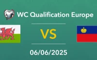 Țara Galilor vs Liechtenstein